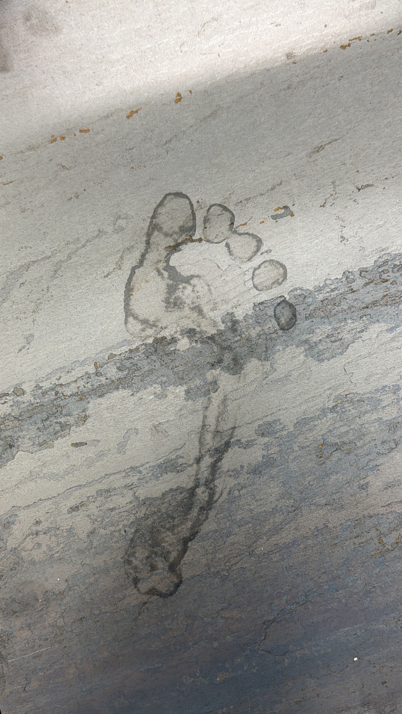 The Wake of the Body by oneg - ephemeral wet footprint traces on steel surface exploring presence and absence